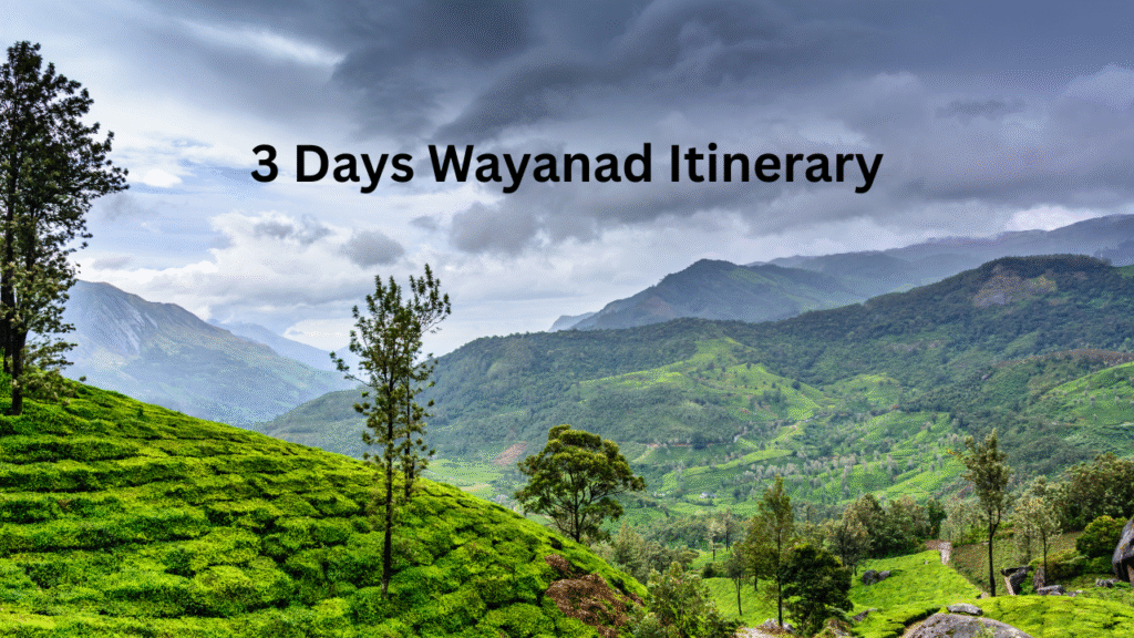 3 Days Wayanad Itinerary: The Ultimate Guide to Kerala’s Green Paradise 3 Days Wayanad Itinerary